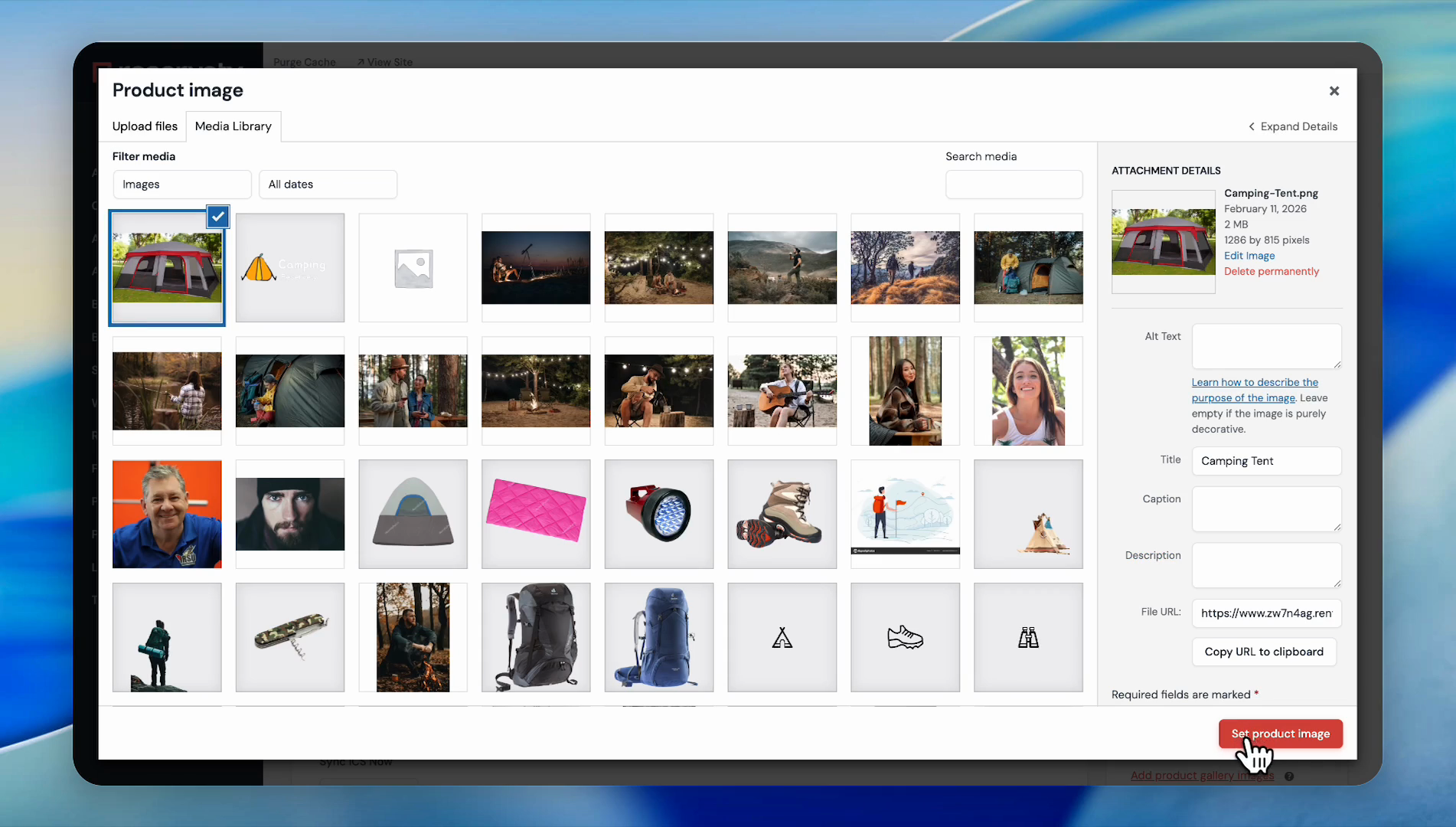 Step 6: Choose the primary image