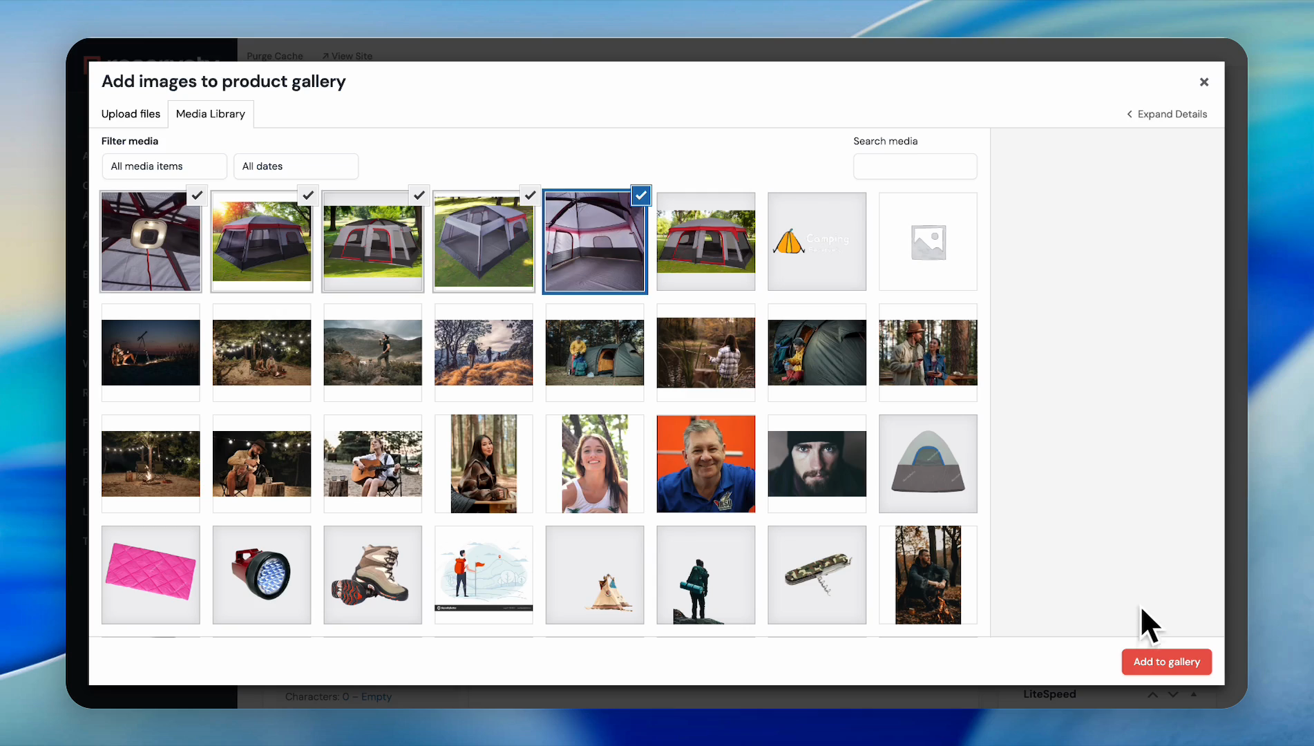 Step 8: Select images and add to gallery